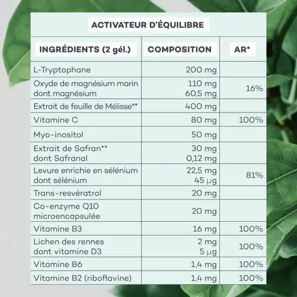 Programme Ventre-Plat – Image 7