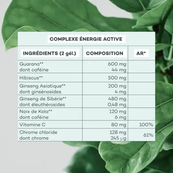 Programme Ventre-Plat – Image 8