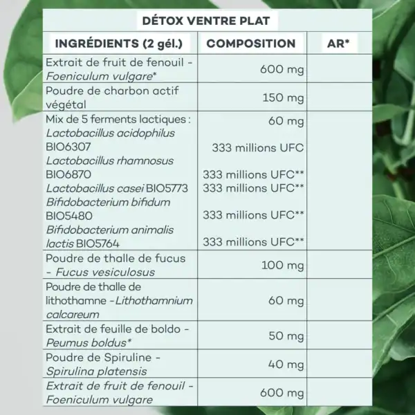Programme Ventre-Plat – Image 9