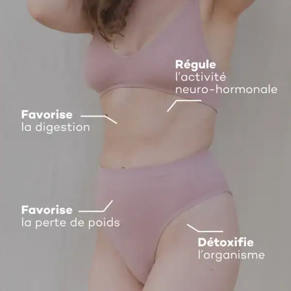 Programme Ventre-Plat – Image 3