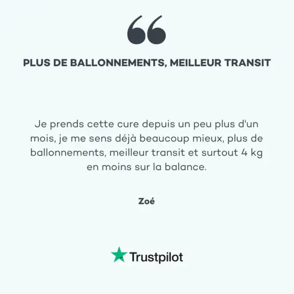 Détox Ventre Plat – Image 5