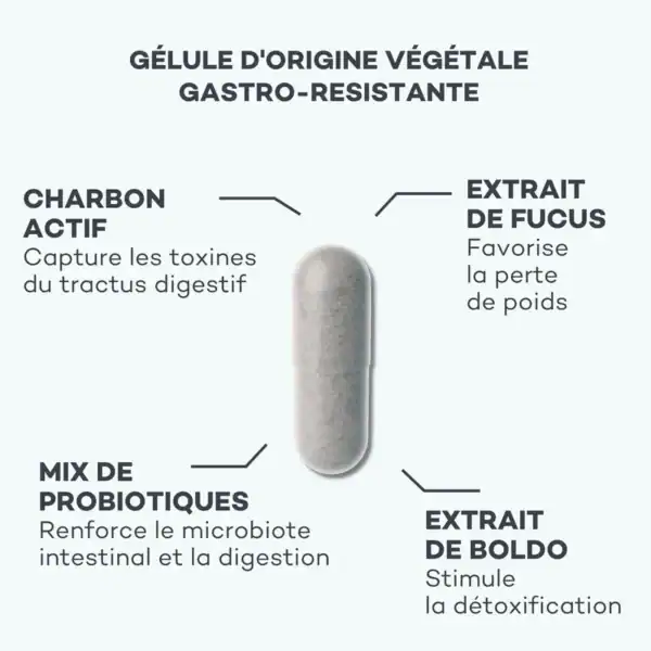 Détox Ventre Plat – Image 4