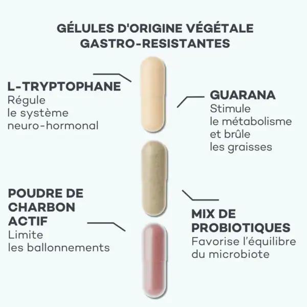 Programme Ventre-Plat – Image 5