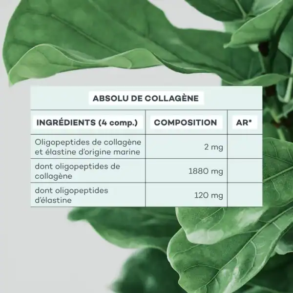 Programme Jeunesse-absolue – Image 2