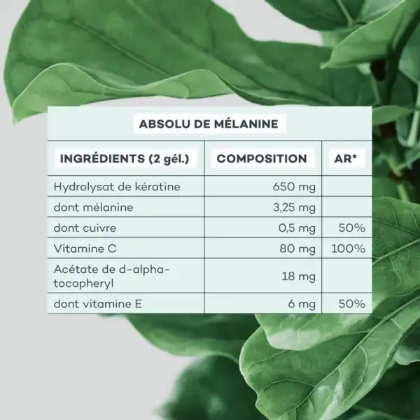 Absolu de Mélanine – Image 3